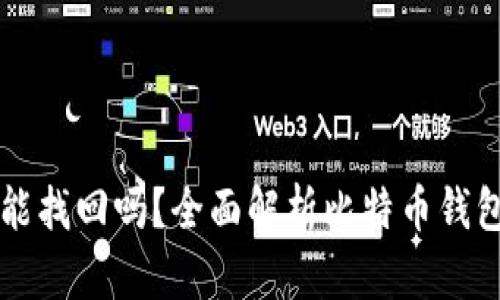 比特币钱包能找回吗？全面解析比特币钱包的恢复方法