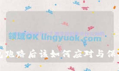 TP钱包跑路后该如何应对与保护资产