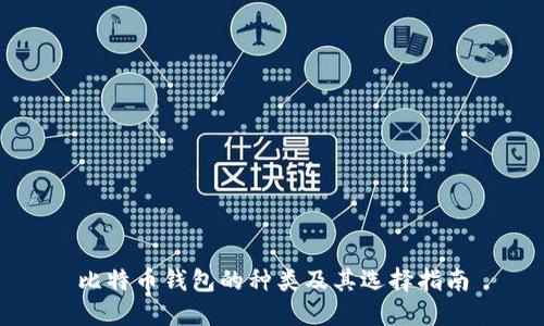 比特币钱包的种类及其选择指南