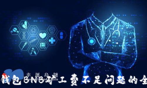 
解决TP钱包BNB矿工费不足问题的全面指南