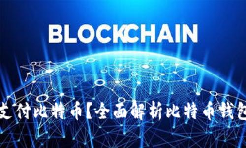 什么钱包可以支付比特币？全面解析比特币钱包的选择与使用