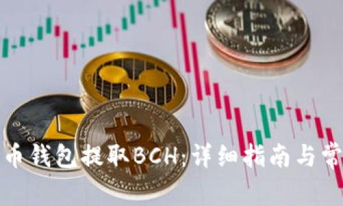 如何从比特币钱包提取BCH：详细指南与常见问题解答