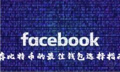 存比特币的最佳钱包选择