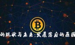 比特币钱包的现状与未来