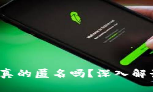  区块链钱包真的匿名吗？深入解读隐私与安全