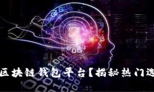 如何选择正规区块链钱包平台？揭秘热门选择与安全提示