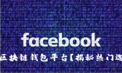 如何选择正规区块链钱包平台？揭秘热门选择与安全提示