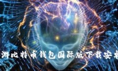 全球共享：畅游比特币钱