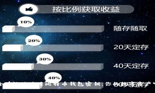 如何安全有效地使用比特币钱包密钥：你的数字资产守护指南