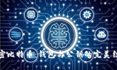 解密比特币：钱包与公钥