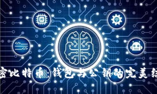 解密比特币：钱包与公钥的完美结合