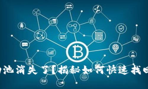 TP钱包流动池消失了？揭秘如何快速找回你的资产！