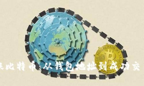 如何安全转账比特币：从钱包地址到成功交易的完整指南