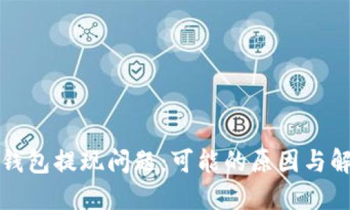 揭秘TP钱包提现问题：可能的原因与解决方案