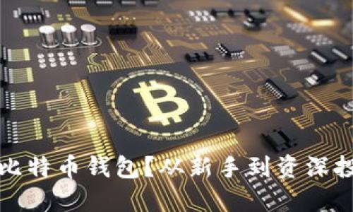 在中国如何选择比特币钱包？从新手到资深投资者的全面指南