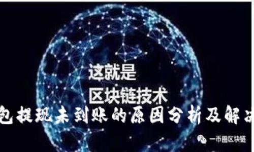 TP钱包提现未到账的原因分析及解决方案