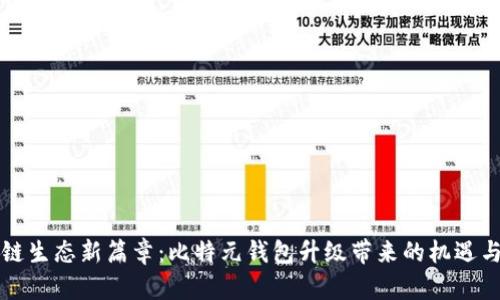 区块链生态新篇章：比特元钱包升级带来的机遇与挑战