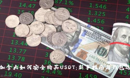 在加拿大如何安全购买USDT：新手指南与钱包选择
