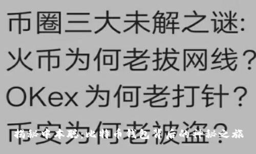 揭秘中本聪：比特币钱包背后的神秘之旅