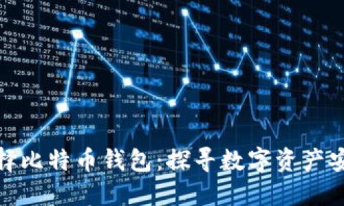 如何选择比特币钱包：探寻数字资产安全之道