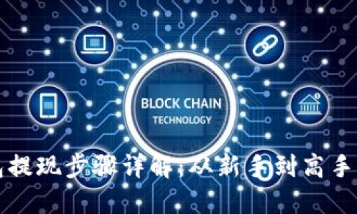 比特币钱包提现步骤详解：从新手到高手的全面指南
