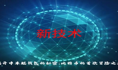 揭开中本聪钱包的秘密：比特币的首次冒险之旅