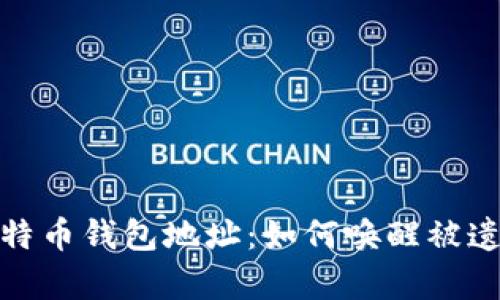 探索沉睡的比特币钱包地址：如何唤醒被遗忘的数字财富