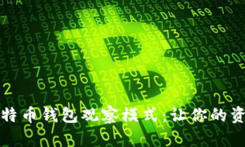 如何开启比特币钱包观察模式：让你的资产安全无忧