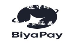 要将狗狗币（Dogecoin）提到