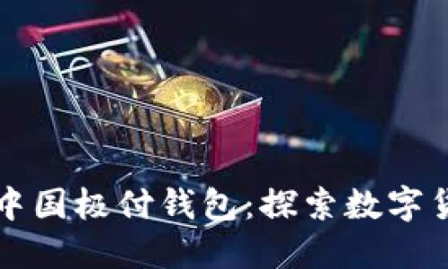 比特币与中国极付钱包：探索数字货币新蓝海