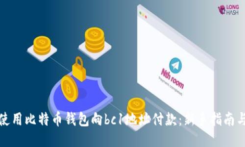 如何使用比特币钱包向bc1地址付款：新手指南与技巧