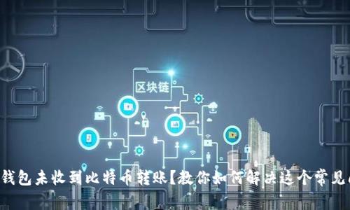 比太钱包未收到比特币转账？教你如何解决这个常见问题！