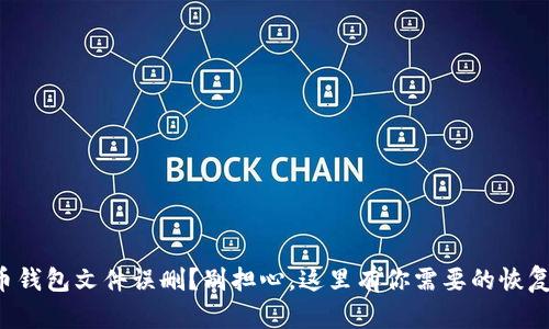 比特币钱包文件误删？别担心，这里有你需要的恢复指南！