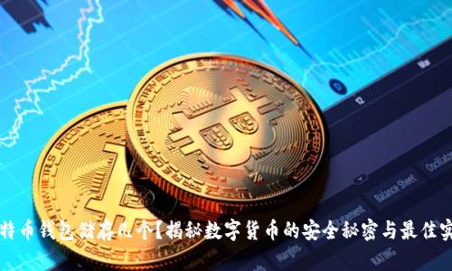 比特币钱包储存几个？揭秘数字货币的安全秘密与最佳实践