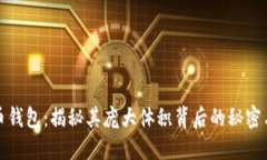 比特币钱包：揭秘其庞大