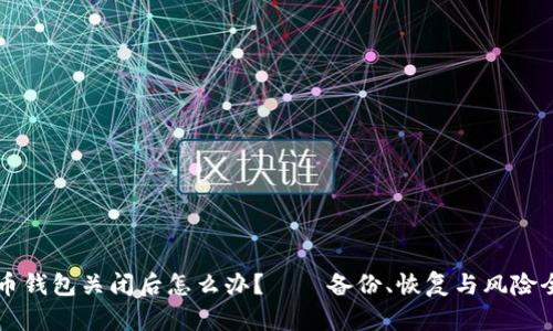 虚拟币钱包关闭后怎么办？——备份、恢复与风险全解析