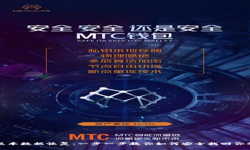 TP钱包老版本数据恢复：一步一步教你如何安全找回你的数字资产