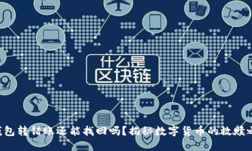 TP钱包转错账还能找回吗？揭秘数字货币的救赎之路!