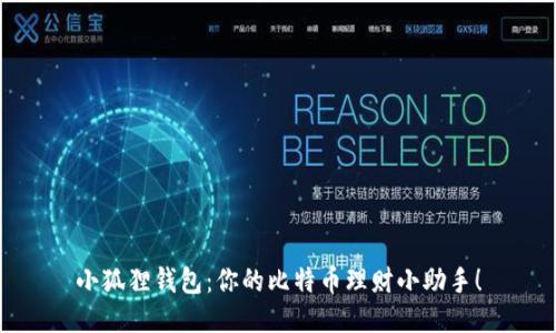 小狐狸钱包：你的比特币理财小助手！