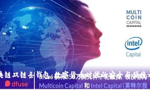 区块链双链条钱包：数字货币时代的安全与便捷之选