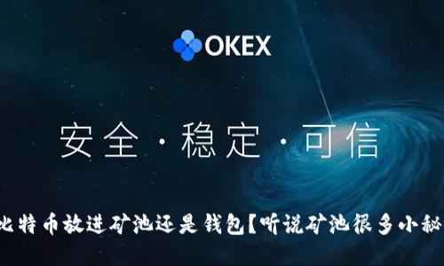把比特币放进矿池还是钱包？听说矿池很多小秘密！