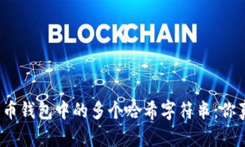 揭秘比特币钱包中的多个哈希字符串：你真的懂吗？