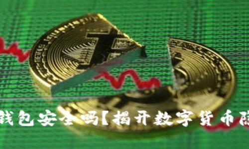 不实名虚拟币钱包安全吗？揭开数字货币隐私保护的面纱