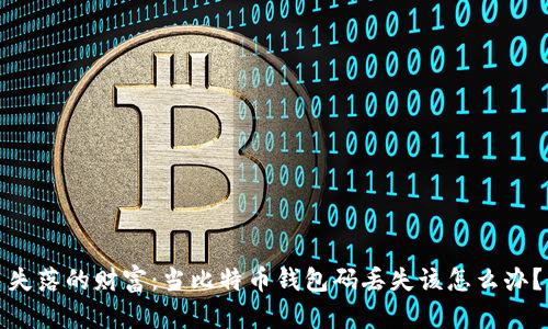 失落的财富：当比特币钱包码丢失该怎么办？