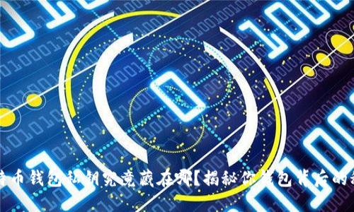 比特币钱包私钥究竟藏在哪？揭秘你钱包背后的秘密