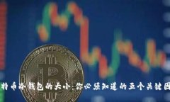 比特币冷钱包的大小：你
