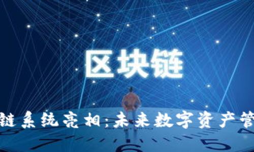 TP钱包区块链系统亮相：未来数字资产管理的里程碑