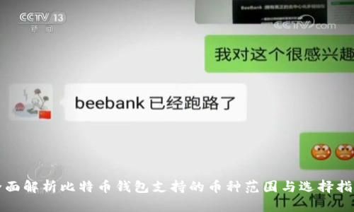 全面解析比特币钱包支持的币种范围与选择指南