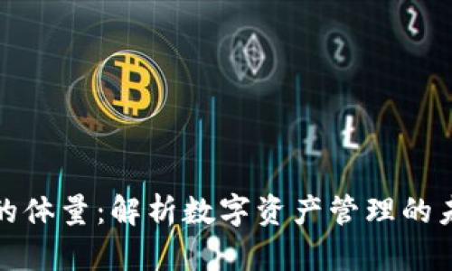 TP钱包的体量：解析数字资产管理的未来之路