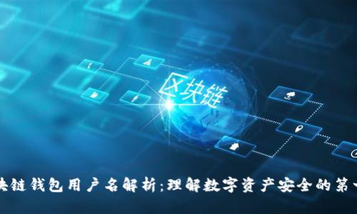 区块链钱包用户名解析：理解数字资产安全的第一步